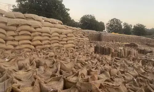15 केंद्रों में ढाई लाख क्विंटल की खरीदी, हजारों किसानों का भुगतान अटका 15 केंद्रों में ढाई लाख क्विंटल की खरीदी, हजारों किसानों का भुगतान अटका
