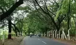 आरे कॉलोनी में हमारी अनुमति के बगैर नहीं होगी पेड़ों की कोई कटाई - सुप्रीम कोर्ट आरे कॉलोनी में हमारी अनुमति के बगैर नहीं होगी पेड़ों की कोई कटाई - सुप्रीम कोर्ट
