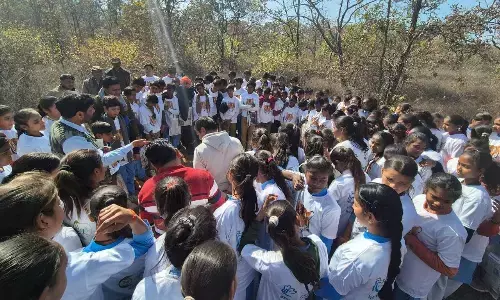 सोनई में वन विभाग ने आयोजित किया अनुभूति नेचर कैंप सोनई में वन विभाग ने आयोजित किया अनुभूति नेचर कैंप