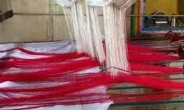 भंडारा जिले में रेशम वस्त्रों की बुनाई का बचत समूहों को प्रशिक्षण दिया जाए : डॉ. चौधरी