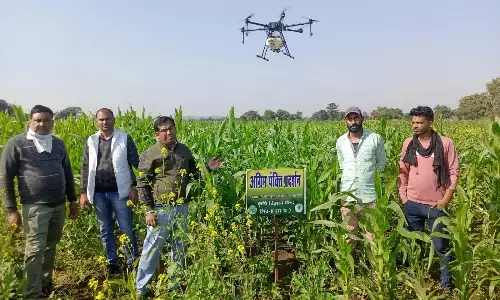 किसानों के खेत में उड़ाया ड्रोन, नैनो यूरिया-डीएपी का किया छिडक़ाव