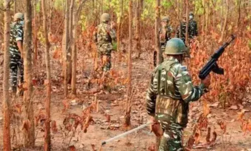 नारायणपुर में सुरक्षाबलों का नक्सलियों पर बड़ा एक्शन, मुठभेड़ में तीन नक्सली ढेर