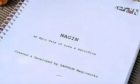जल्द शुरू होने वाली है नागिन की शूटिंग, मकर संक्रांति के अवसर पर निर्माता ने दिया सोशल मीडिया पर पोस्ट करके हिंट