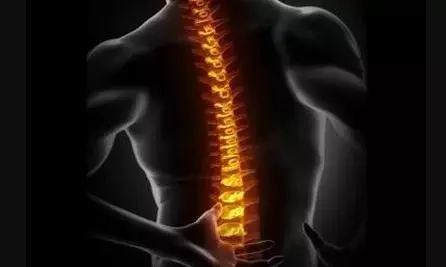 सैफ अली खान पर हुआ हमला, रीढ़ की हड्डी में आई चोट, एक हफ्ते का बेड रेस्ट जरूरी, जानें रीढ़ की हड्डी में लगी चोट पर कितने दिन का आराम है जरूरी