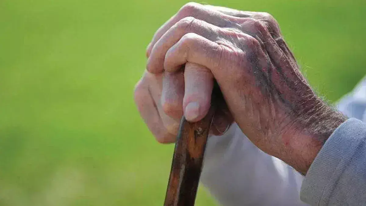 अदालत ने पुलिस को फटकार लगाते हुए वृद्ध पिता को घर में रहना सुनिश्चित करने को कहा