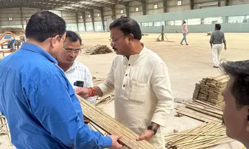 बांबू की खेती के लिए रोगायो योजनाओं का लाभ उठाये किसान