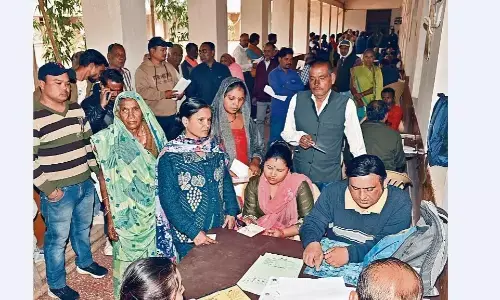 नर्मदा तट पर लगे पेड़ों की हो रही कटाई