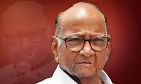 मुंबई मनपा चुनाव राकांपा शरद गुट अकेले लड़े, सिराज मेंहदी ने रखा प्रस्ताव