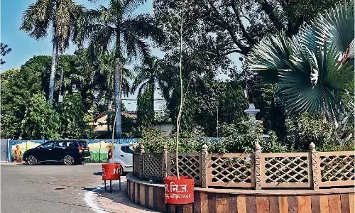 शहर को सुंदर बनाने ड्रमों में लगाए पौधे, एक सप्ताह के भीतर ही सूखे