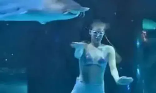 जलपरी बनकर घुसी बड़े टैंक के अंदर, तो मछली को आया गुस्सा, तो किया ऐसा काम कि सब लोग रह गए दंग जलपरी बनकर घुसी बड़े टैंक के अंदर, तो मछली को आया गुस्सा, तो किया ऐसा काम कि सब लोग रह गए दंग