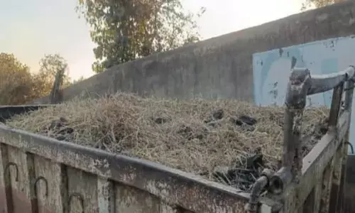 रेत अनलोड कर भाग रहे वाहन को पकड़ा, कोयला भी किया जब्त