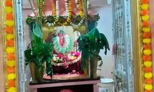 गणेश जयंती पर बीड जिले में हजारों श्रध्दालुओं ने किए दर्शन