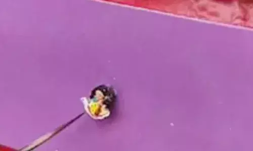 देश में नहीं है कलाकारों की कमी, सरसों के दाने में बना दिया सरस्वती माता को, लोग देखकर हो गए हैरान