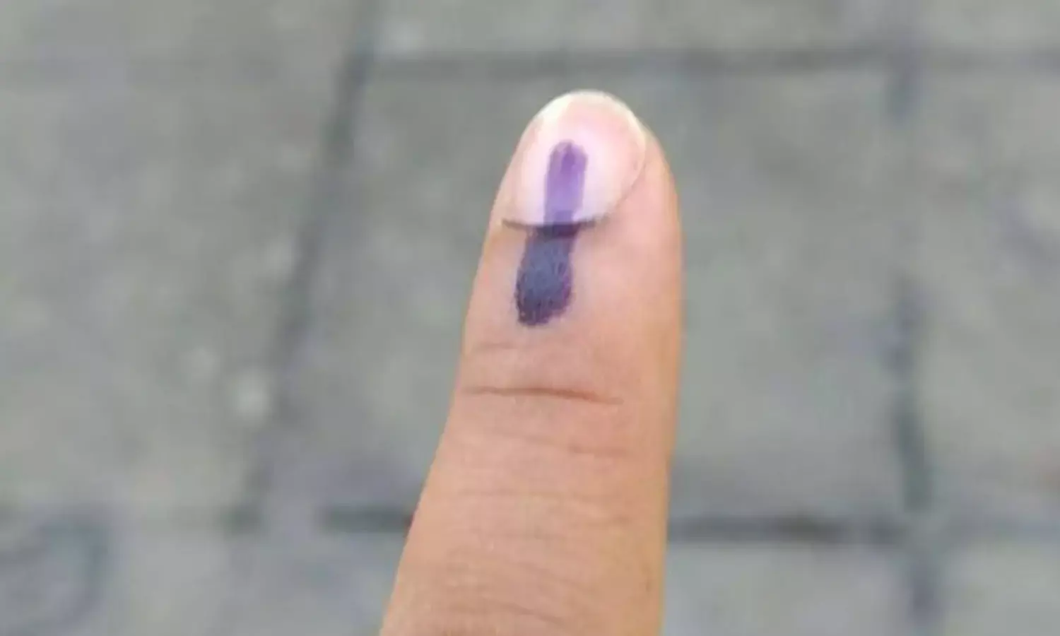 दिल्ली चुनाव संपन्न, कई पाकिस्तानी शरणार्थियों ने किया मतदान, एक ने कहा- अब हम देश के नागरिक