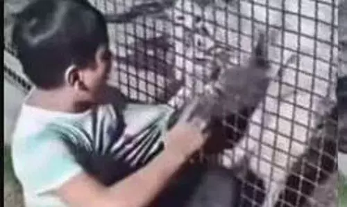 बच्चे को मां का है इतना ज्यादा खौफ, बाघ ने पकड़ी टी-शर्ट तो बच्चे को बाघ का नहीं मां का लगा डर!