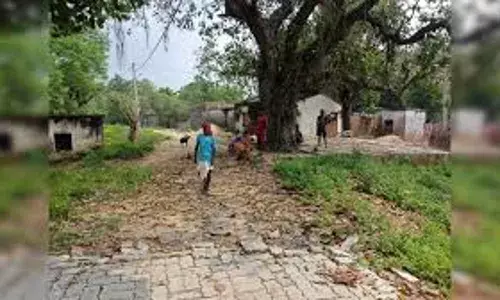 केंद्र का दावा - जलगांव जिले में नहीं है कोई पीवीटीजी, महाराष्ट्र सरकार ने दी जानकारी