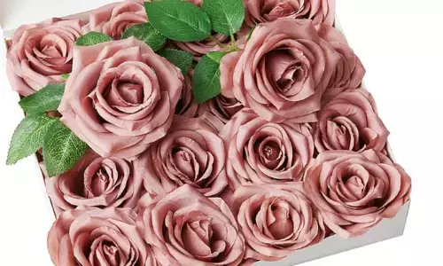 इस रोज डे करना चाहते हैं कुछ हटके, तो इन हैंडमेड गुलाब के फूलों को बनाकर करें अपनों को खुश