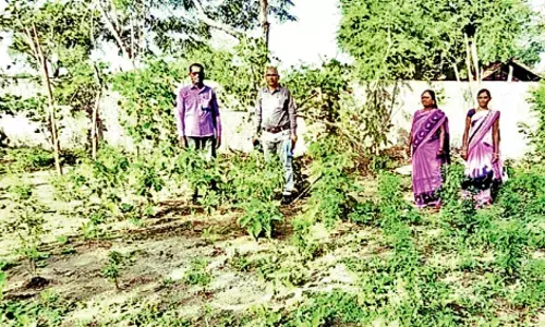 परसबाग से गर्भवतियों को मिला पोषण आहार