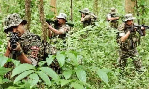 बीजापुर मुठभेड़ में 31 नक्सली हुए ढेर, 12 के शव किए बरामद, DRG और STF के 2 जवान हुए शहीद