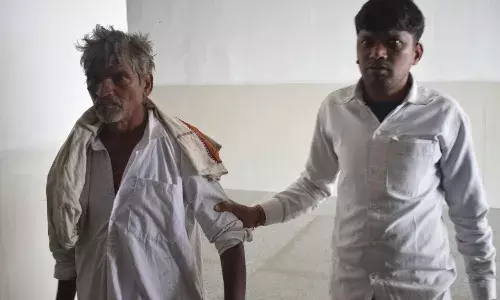 सियार ने किया ग्रामीण पर हमला, चेहरे में बने घाव, अमरवाड़ा के बर्धिया गांव का मामला, जिला चिकित्सालय में चल रहा इलाज