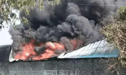 मुरादाबाद की प्लास्टिक फैक्ट्री में लगी भीषण आग, चारों तरफ छाए काले धुएं के गुबार, सांस लेने में भी भारी मुश्किल