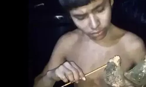 शहर में निकलकर आया जंगल में रहने वाला लड़का, नहीं अच्छी लगी बाहरी दुनिया, एक दिन में ही वापस भाग गया अपने घर! शहर में निकलकर आया जंगल में रहने वाला लड़का, नहीं अच्छी लगी बाहरी दुनिया, एक दिन में ही वापस भाग गया अपने घर!