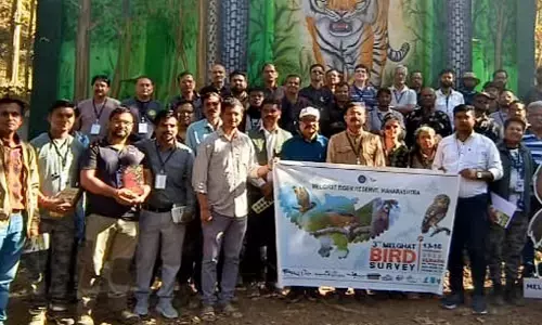 मेलघाट में मिले 214 प्रजाति के पक्षी, 7 नए पक्षी मिलने से खिले चेहरे मेलघाट में मिले 214 प्रजाति के पक्षी, 7 नए पक्षी मिलने से खिले चेहरे