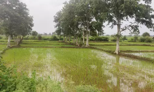 किसानों की समस्याएं हल करने अब खेत तक पहुंचेगा कृषि विभाग