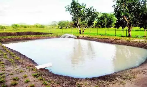 खेतों में सिंचाई के लिए गडचिरोली जिले में बनेंगे 205 तालाब