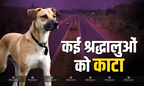 कुंभ से लौट रहे कई श्रद्धालुओं को कुत्ते ने किया गंभीर घायल कुंभ से लौट रहे कई श्रद्धालुओं को कुत्ते ने किया गंभीर घायल