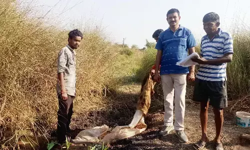 अवैध शराब व जुआ अड्‌डे पर छापा मारकर पुलिस ने आरोपियों को दबोचा