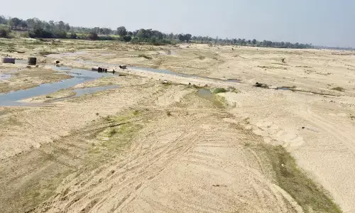 फरवरी माह में ही सूख गई जीवनदायनी बावनथड़ी नदी