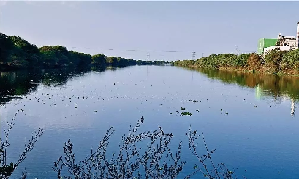 वॉटर प्लस के लिए कहीं माइनस न बन जाएं तालाबों के हाल वॉटर प्लस के लिए कहीं माइनस न बन जाएं तालाबों के हाल