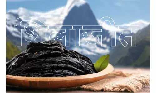 शिलाजीत लेने का सही समय और इसकी शुद्धता की जांच कैसे करें।