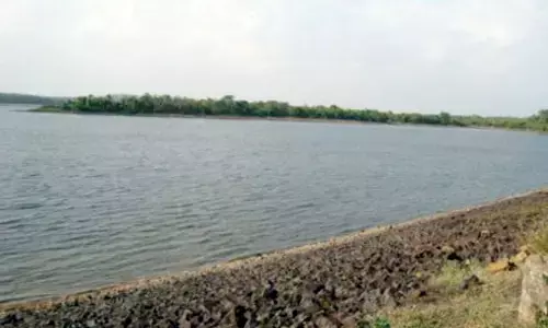 चंद्रपुर जिले की प्यास बुझाने वाले जलाशयों का जलस्तर हो रहा कम