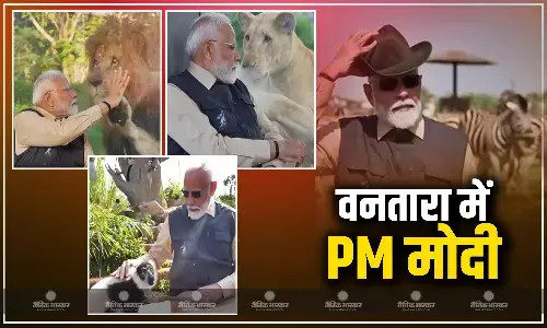 PM मोदी ने मुकेश अंबानी के वाइल्डलाइफ सेंटर का किया उद्धाटन, सफेद शेर के शावक को पिलाया दूध, ओरंगुटान पर लुटाया प्यार