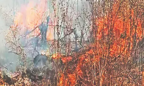 डाबका 33केवी सब स्टेशन में लगी आग, करोड़ों के सोलर प्लांट की प्लेटें खाक डाबका 33केवी सब स्टेशन में लगी आग, करोड़ों के सोलर प्लांट की प्लेटें खाक