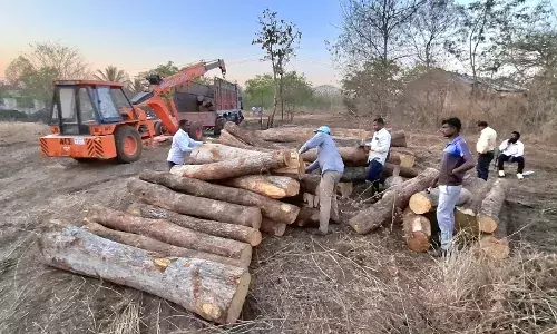 लकड़ियों की तस्करी कर रहा वाहन जब्त, वन विभाग की कारवाई में 7 लाख का माल बरामद