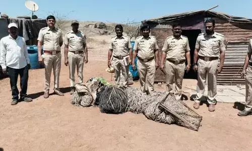 फरार खोक्या भोसले की मुश्किलें बढ़ी, वन विभाग के छापे में आपत्तिजनक सामग्री जब्त