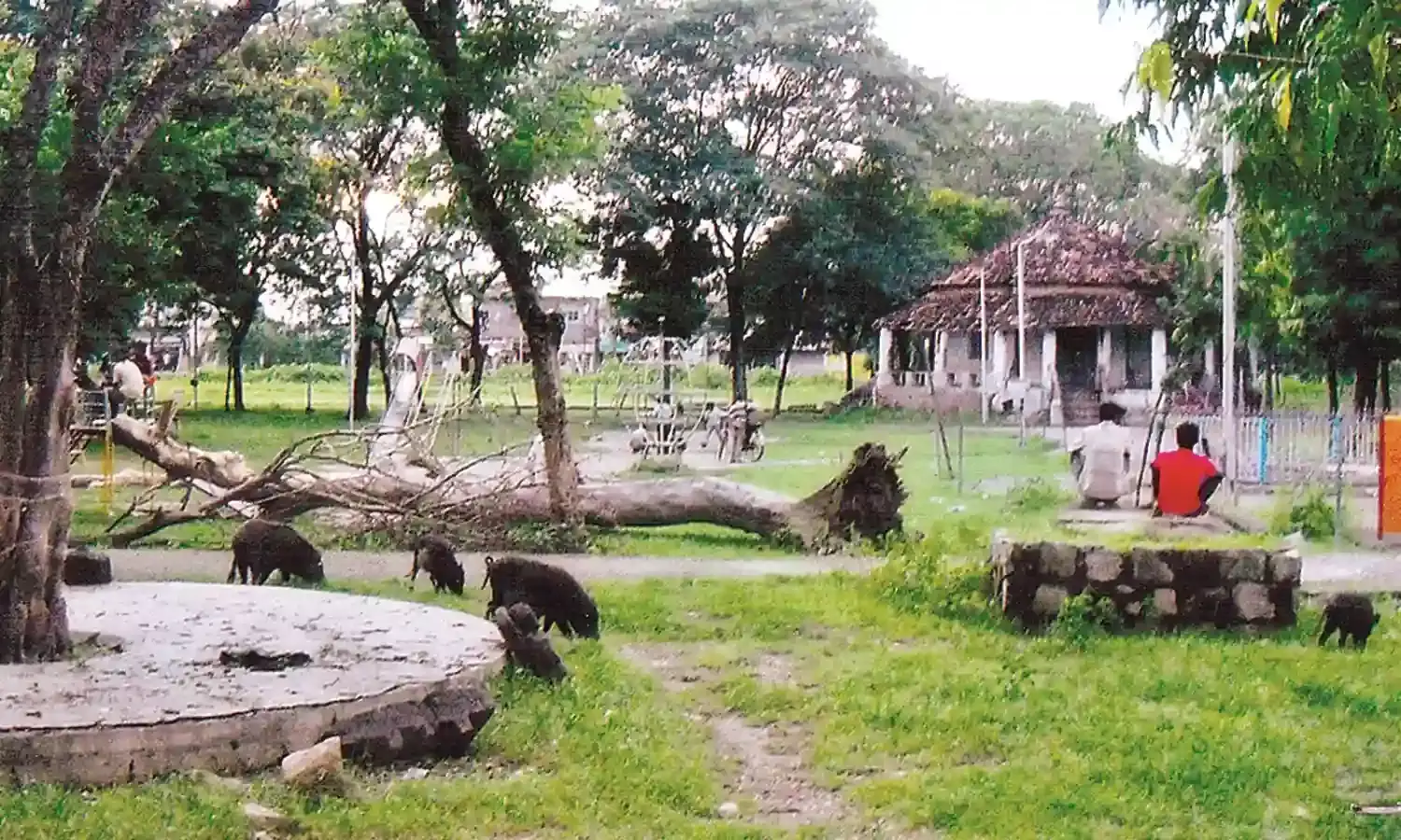 ठंडे बस्ते में वन उद्यान पड़ा है, 10 हेक्टेयर क्षेत्र में जंगल सफारी की संकल्पना