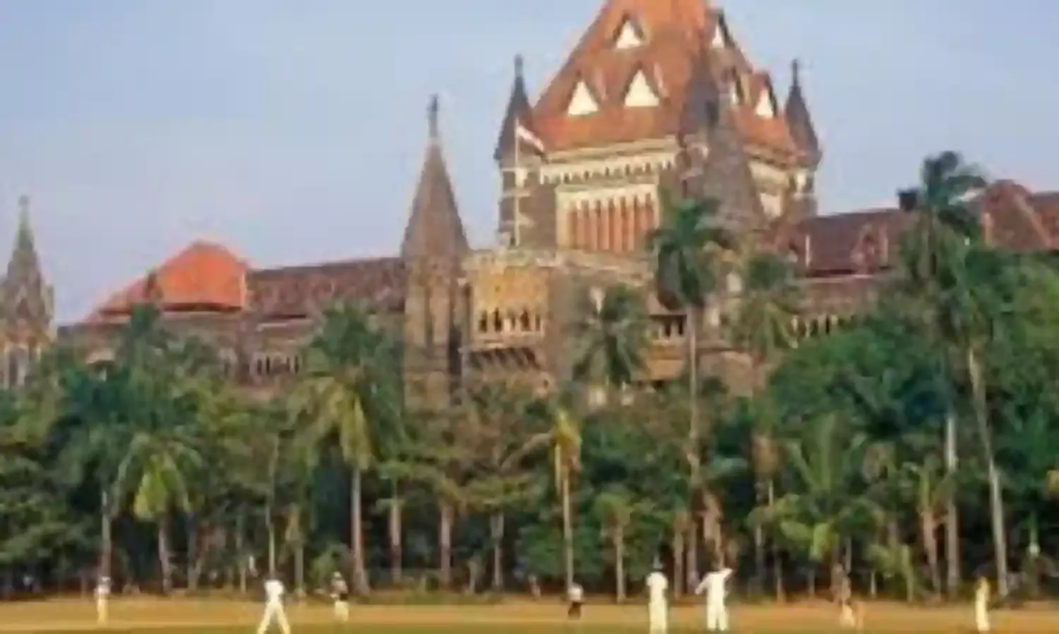 कर्ज डिफॉल्ट मामले में कंपनी के निदेशक को जमानत, न्यू इंडिया बैंक घोटाले में होगा लाइ डिटेक्टर टेस्ट
