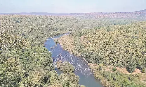 सेहत पर असर - कोलार नदी प्रदूषित मामले में न निधि मिली और न एसटीपी बना सेहत पर असर - कोलार नदी प्रदूषित मामले में न निधि मिली और न एसटीपी बना