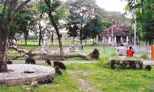 ठंडे बस्ते में वन उद्यान पड़ा है, 10 हेक्टेयर क्षेत्र में जंगल सफारी की संकल्पना ठंडे बस्ते में वन उद्यान पड़ा है, 10 हेक्टेयर क्षेत्र में जंगल सफारी की संकल्पना