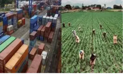 वर्ष 2023-24 में महाराष्ट्र से कृषि उत्पादों के निर्यात में आई कमी