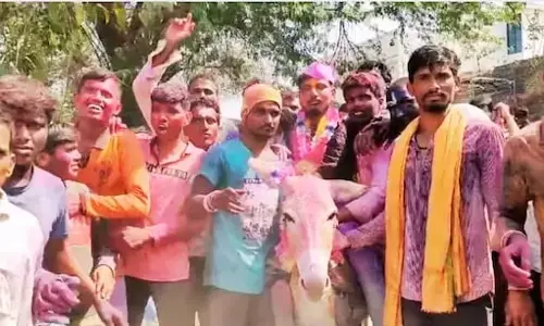 होली पर दामाद की गधे पर सवारी की 100 सालों की परंपरा रद्द होली पर दामाद की गधे पर सवारी की 100 सालों की परंपरा रद्द