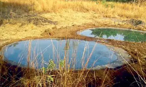 वन्यजीवों की प्यास बुझाने 480 कृत्रिम जलाशयों का होगा निर्माण