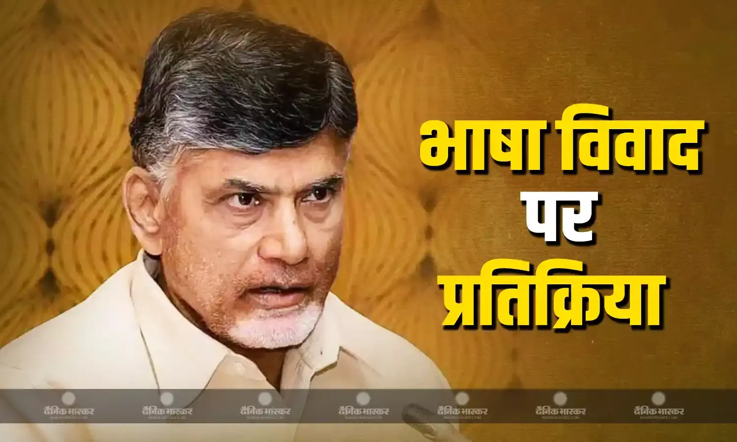 पवन कल्याण के बाद CM नायडू की आई प्रतिक्रिया, मातृभाषा को लेकर कही ये बड़ी बात