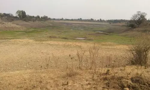 निस्तार के लिए भी नहीं बचा पानी, कैसे बुझेगी मवेशियों की प्यास निस्तार के लिए भी नहीं बचा पानी, कैसे बुझेगी मवेशियों की प्यास