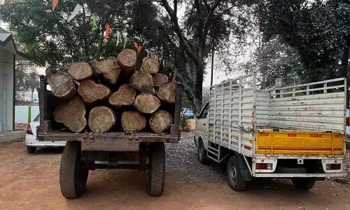सागौन समेत 23 लाख का माल जब्त, एक गिरफ्तार, छह फरार