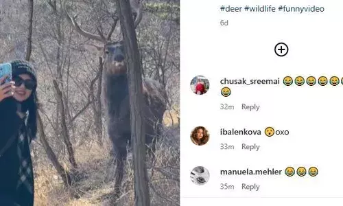 हिरण के साथ सेल्फी लेने गई लड़की, नहीं पसंद आया जानवर को पोज, तो किया ऐसा काम कि उड़ गए सबके होश!
